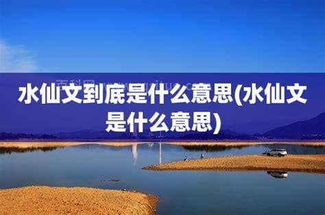 水仙文 意思|水仙文是什么设定